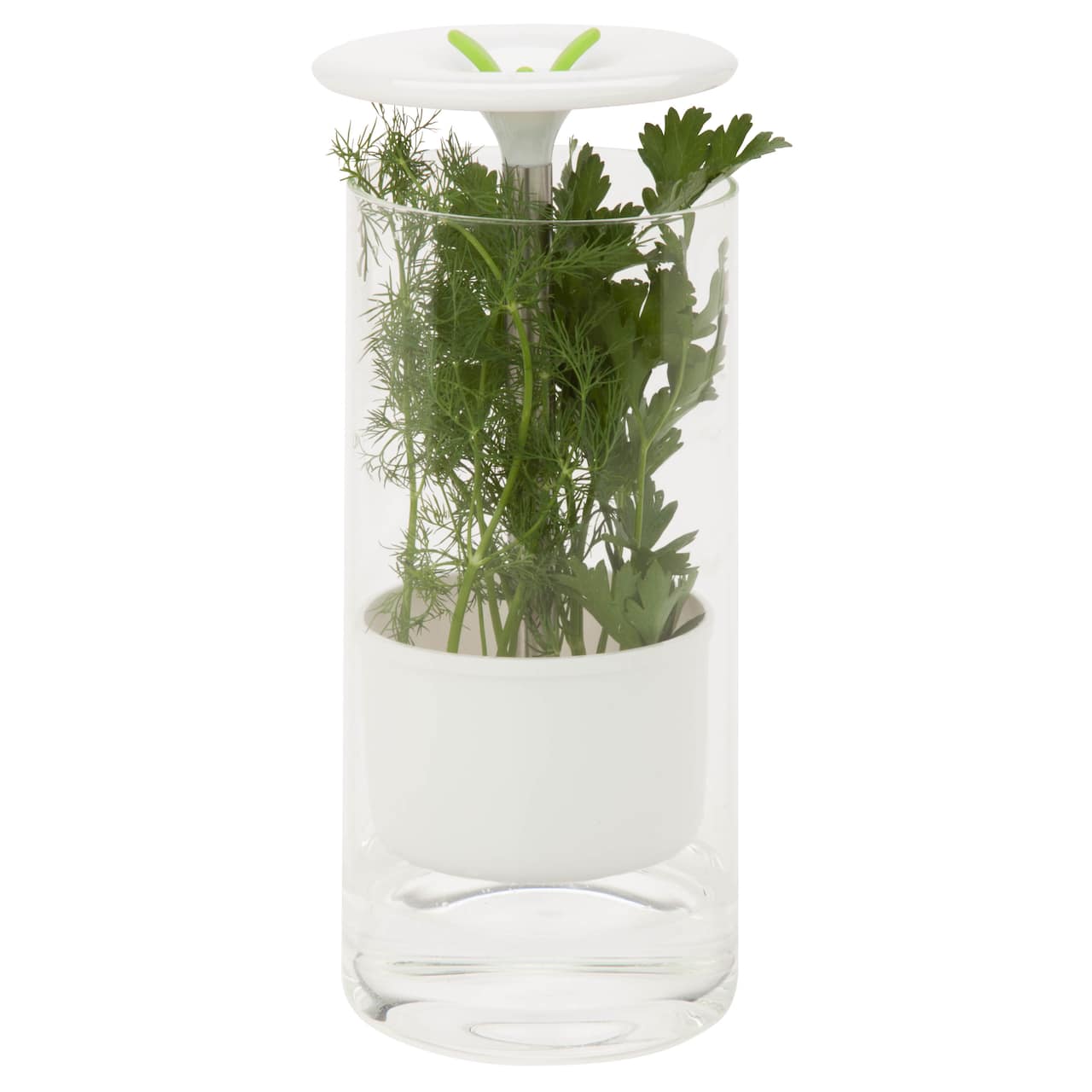 Honey Can Do Clear & White Herb Preserver